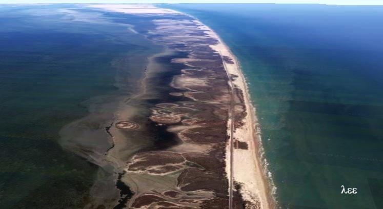 South Padre Stayz South Padre Island Exteriér fotografie